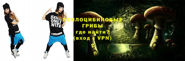 тгк Абинск