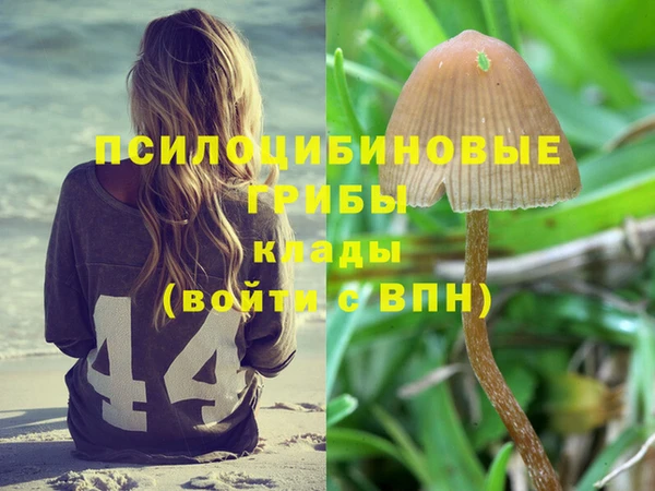 гашишное масло Алексеевка