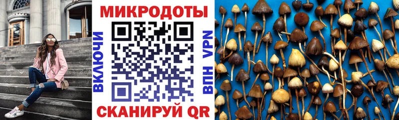 Псилоцибиновые грибы GOLDEN TEACHER  mega как войти  Красноуфимск  наркотики 